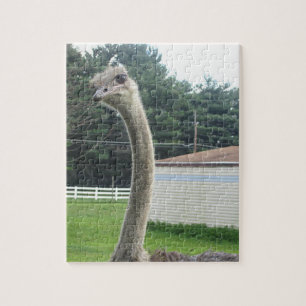 Ostrich Jigsaw Puzzle