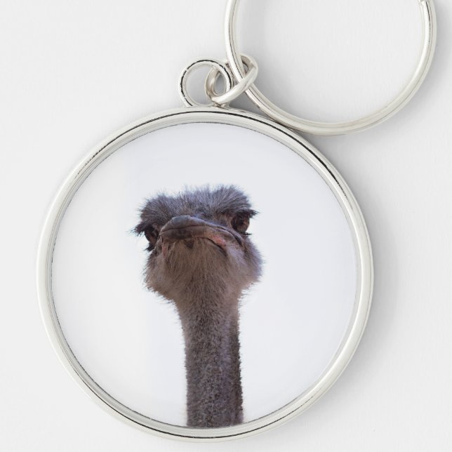 ostrich key ring (Front)