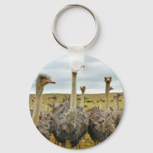 ostrich key ring