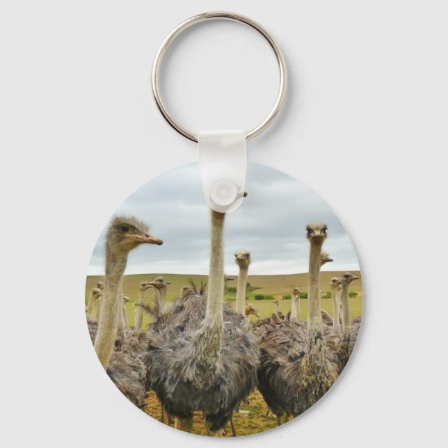 ostrich key ring (Front)