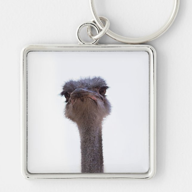 ostrich key ring (Front)