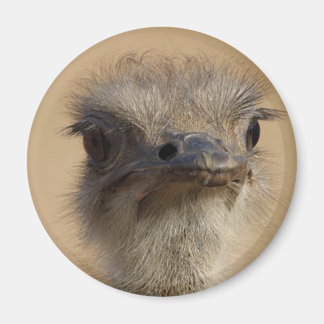Ostrich Magnet (Front)