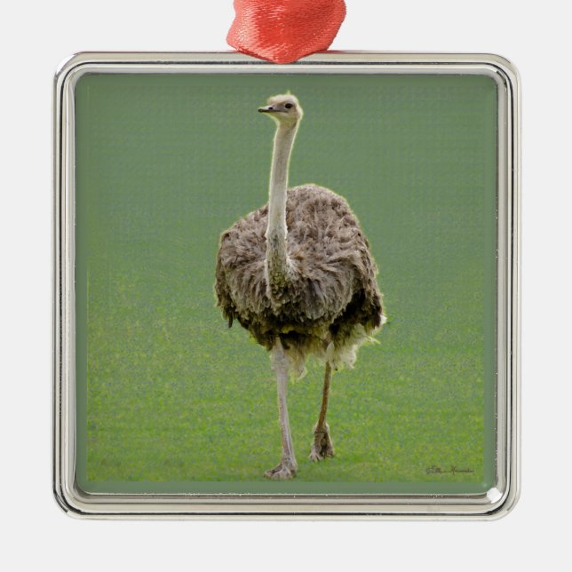 Ostrich Metal Tree Decoration (Front)