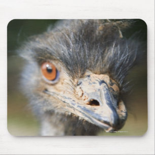 Ostrich Mouse Pad