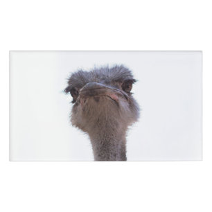 ostrich name tag