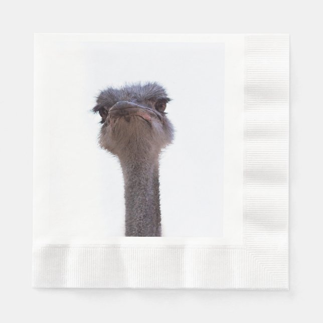 ostrich napkin (Front)