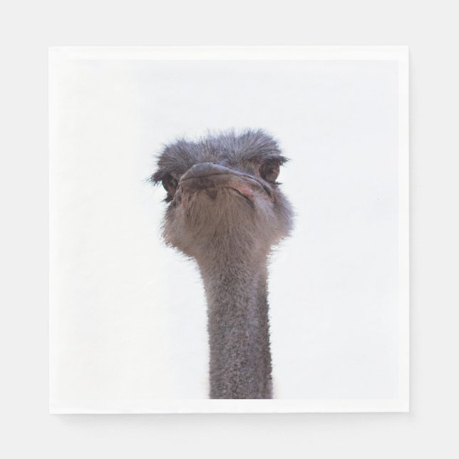ostrich napkin (Front)