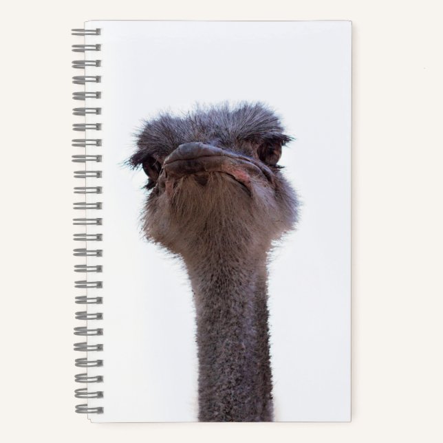 ostrich notebook (Front)