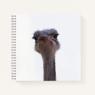 ostrich notebook