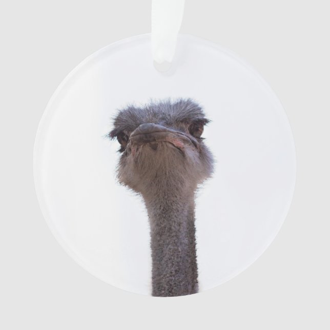 ostrich ornament (Front)
