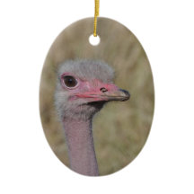 Ostrich Ornament