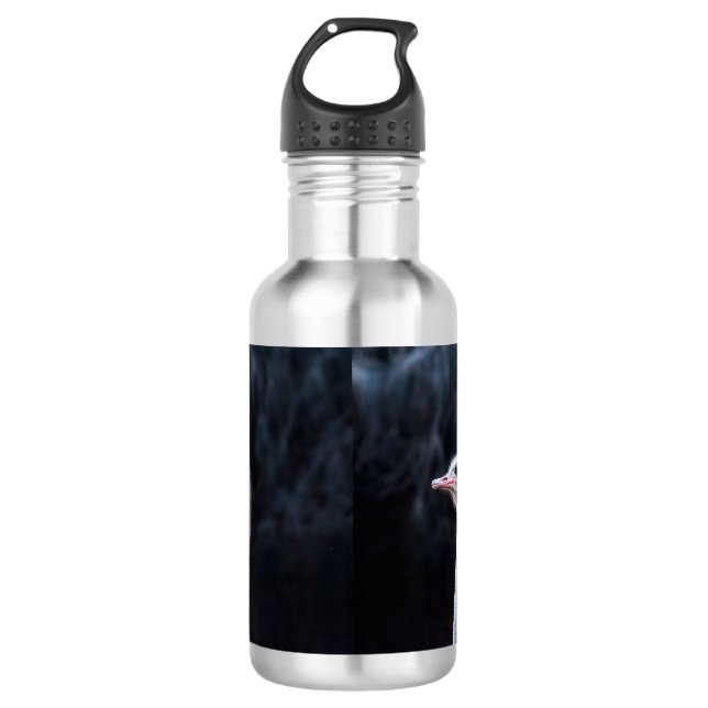 Ostrich Photography 532 Ml Water Bottle (Front)