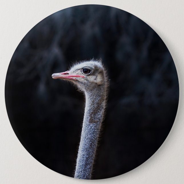 Ostrich Photography 6 Cm Round Badge (Front)