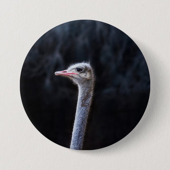 Ostrich Photography 7.5 Cm Round Badge (Front)