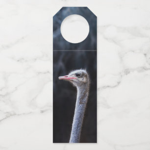 Ostrich Photography Bottle Tag