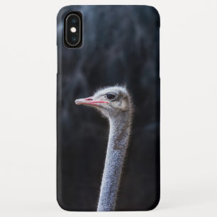Ostrich Photography Case-Mate iPhone Case