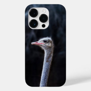 Ostrich Photography Case-Mate iPhone 14 Pro Case