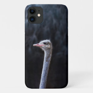 Ostrich Photography Case-Mate iPhone Case