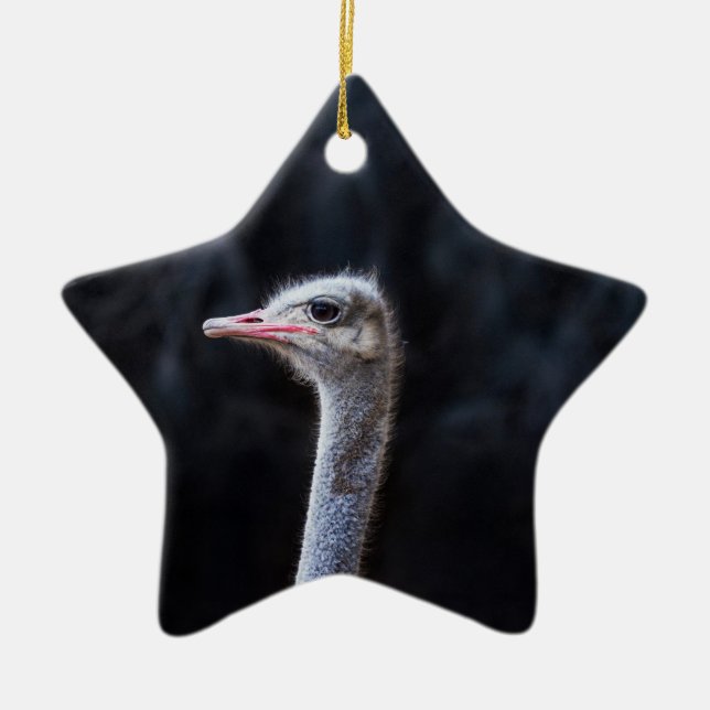Ostrich Photography Ceramic Tree Decoration (Front)