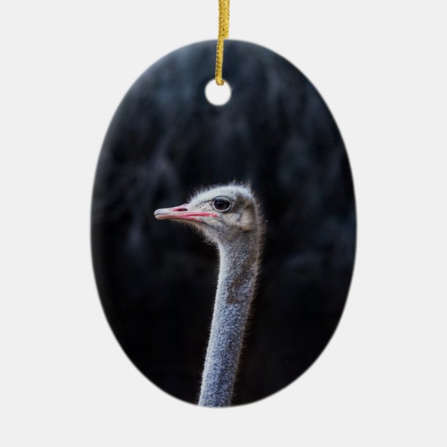Ostrich Photography Ceramic Tree Decoration (Front)