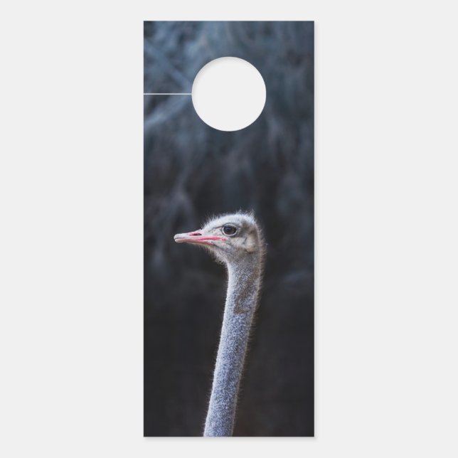 Ostrich Photography Door Hanger (Front)