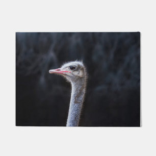 Ostrich Photography Doormat