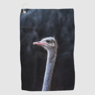 Ostrich Photography Golf Towel