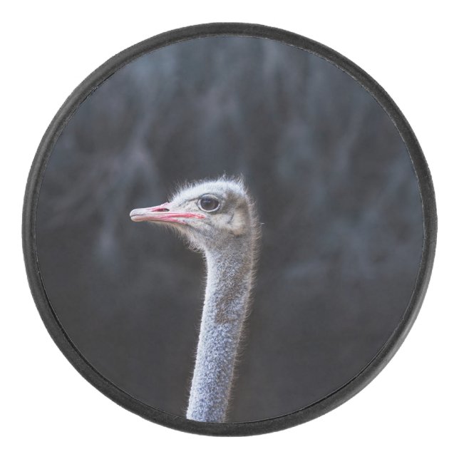 Ostrich Photography Hockey Puck (Front)