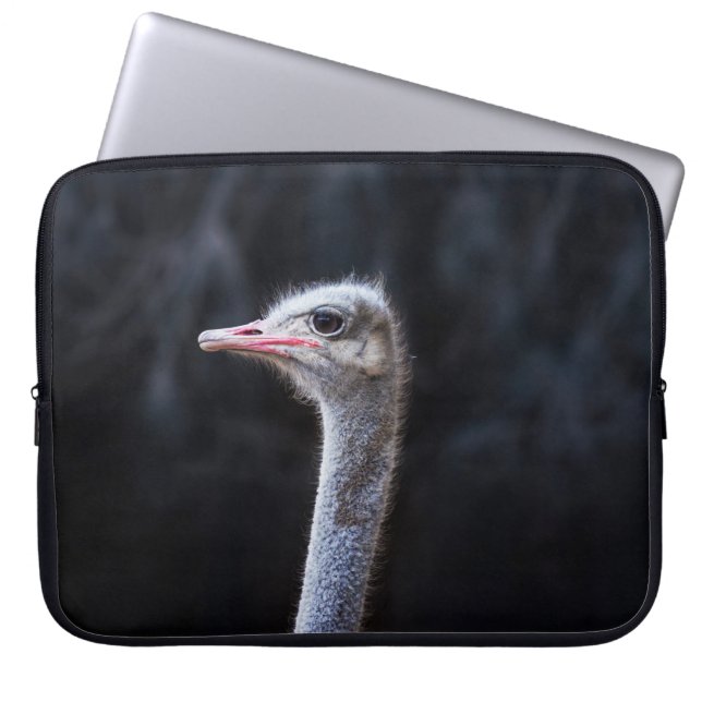 Ostrich Photography Laptop Sleeve (Front)