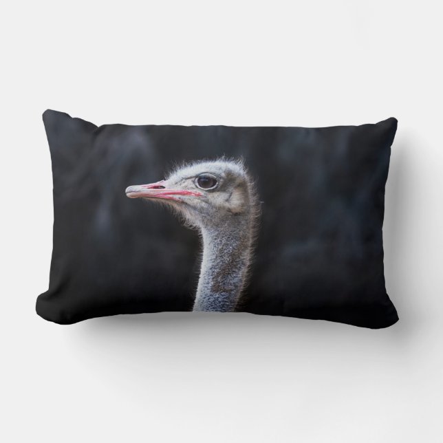 Ostrich Photography Lumbar Cushion (Front)
