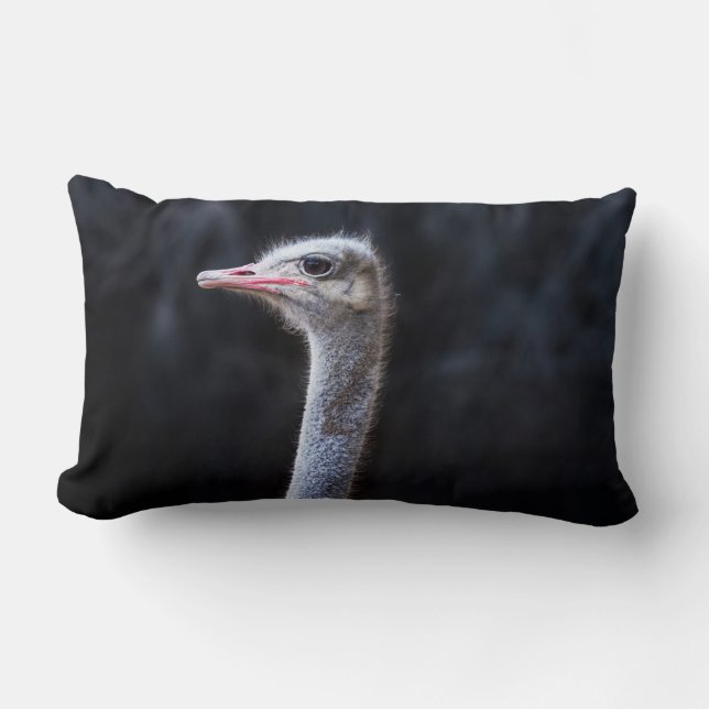 Ostrich Photography Lumbar Cushion (Front)