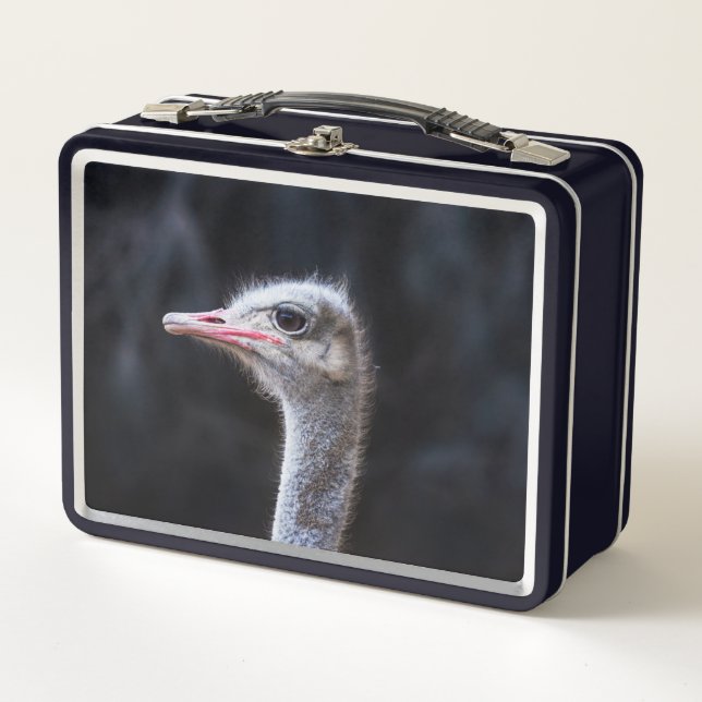 Ostrich Photography Metal Lunch Box (Front)
