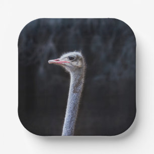 Ostrich Photography Paper Plate