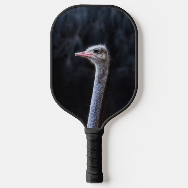Ostrich Photography Pickleball Paddle (Front)