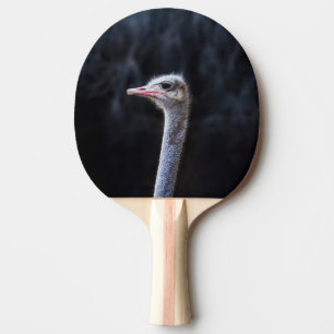 Ostrich Photography Ping Pong Paddle
