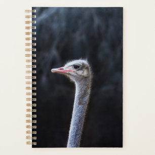 Ostrich Photography Planner