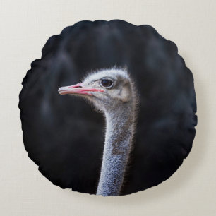 Ostrich Photography Round Cushion