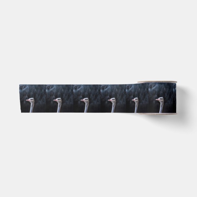 Ostrich Photography Satin Ribbon (Front)