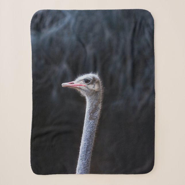 Ostrich Photography Sherpa Blanket (Front)