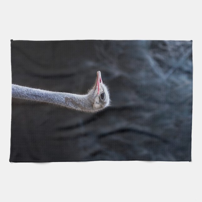 Ostrich Photography Tea Towel (Horizontal)