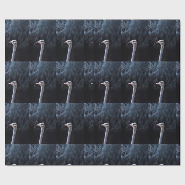 Ostrich Photography Wrapping Paper (Seam)