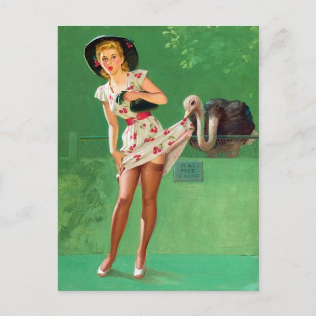 Ostrich Pin Up Postcard (Front)
