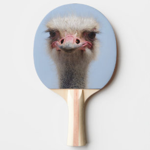 Ostrich Ping Pong Paddle