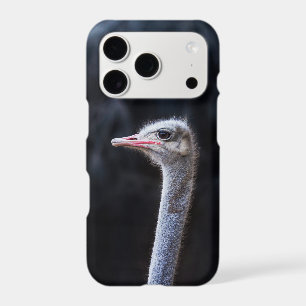 ostrich portrait