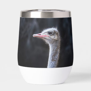 ostrich portrait 