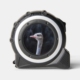 ostrich portrait 1