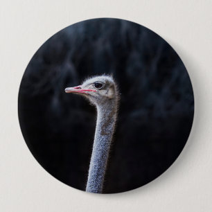 ostrich portrait 10 cm round badge