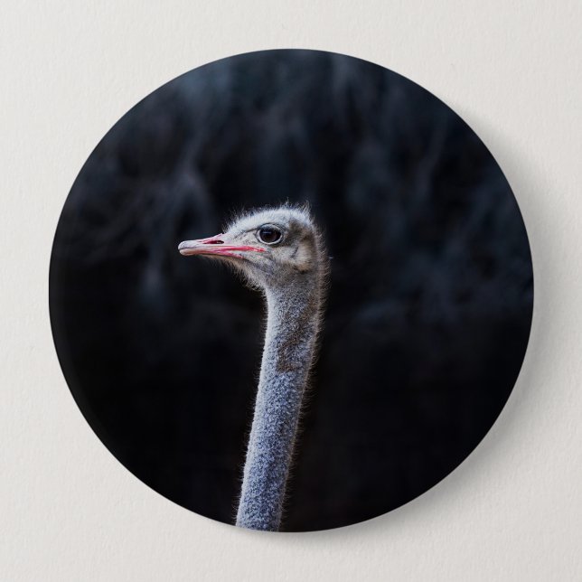 ostrich portrait   10 cm round badge (Front)