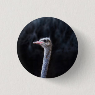 ostrich portrait 3 cm round badge