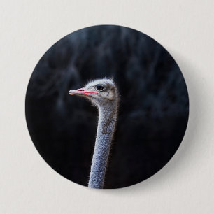ostrich portrait 7.5 cm round badge